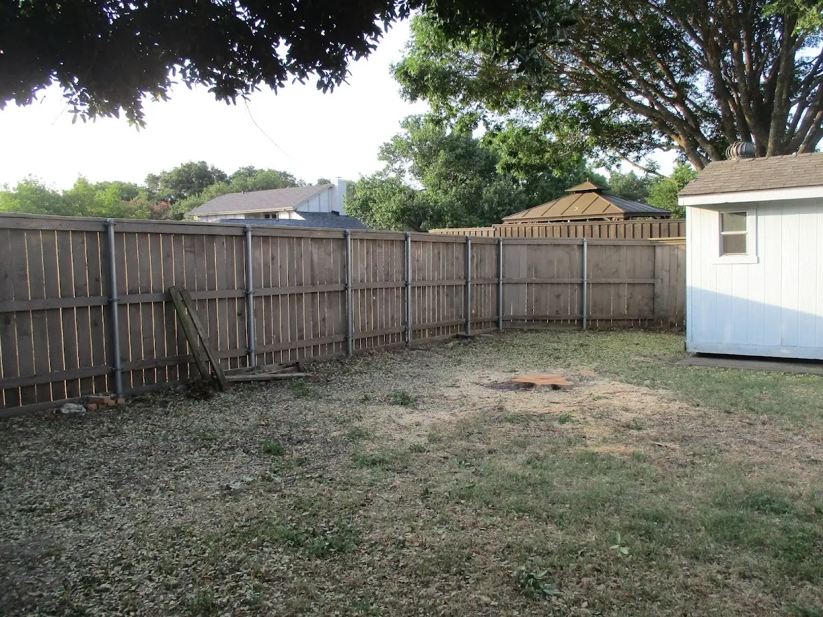 Cleared yard after professional tree removal in Neshkoro